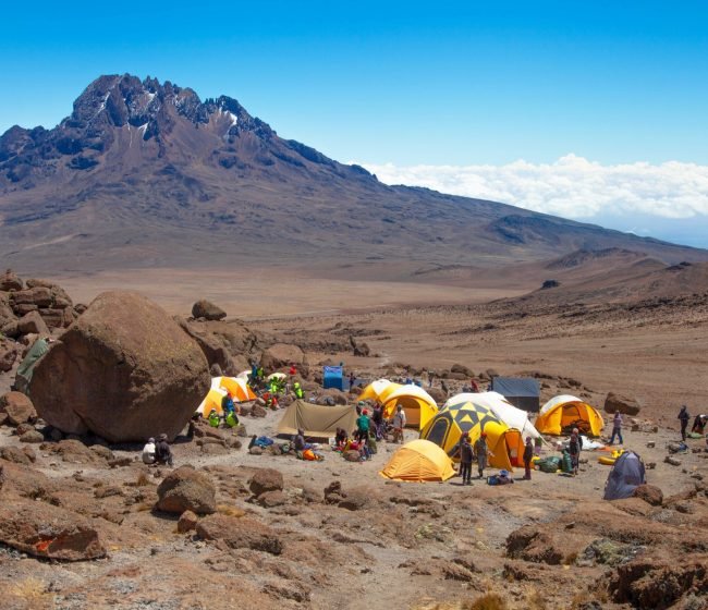 xr:d:DAF9O5oJubU:2,j:4043525736567544770,t:24021911